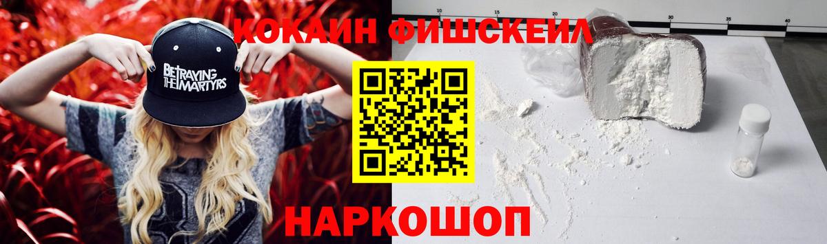 Кокаин Fish Scale  где купить   Орск  Вход с VPN 