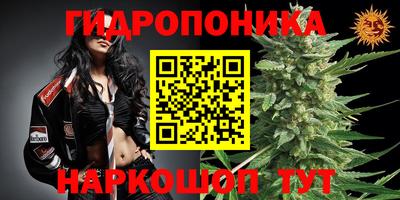 a pvp Сланцы