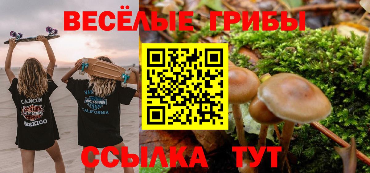 Орск  Галлюциногенные грибы GOLDEN TEACHER  купить наркотик  Галлюциногенные грибы Psilocybe  Вход с VPN 