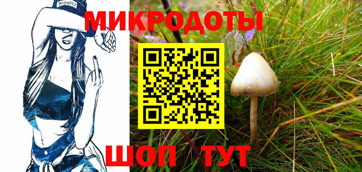 Псилоцибиновые грибы Psilocybine cubensis Орск